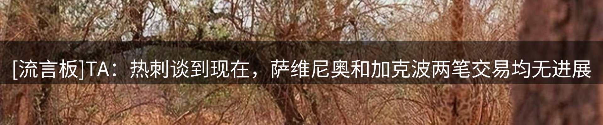 综合资讯